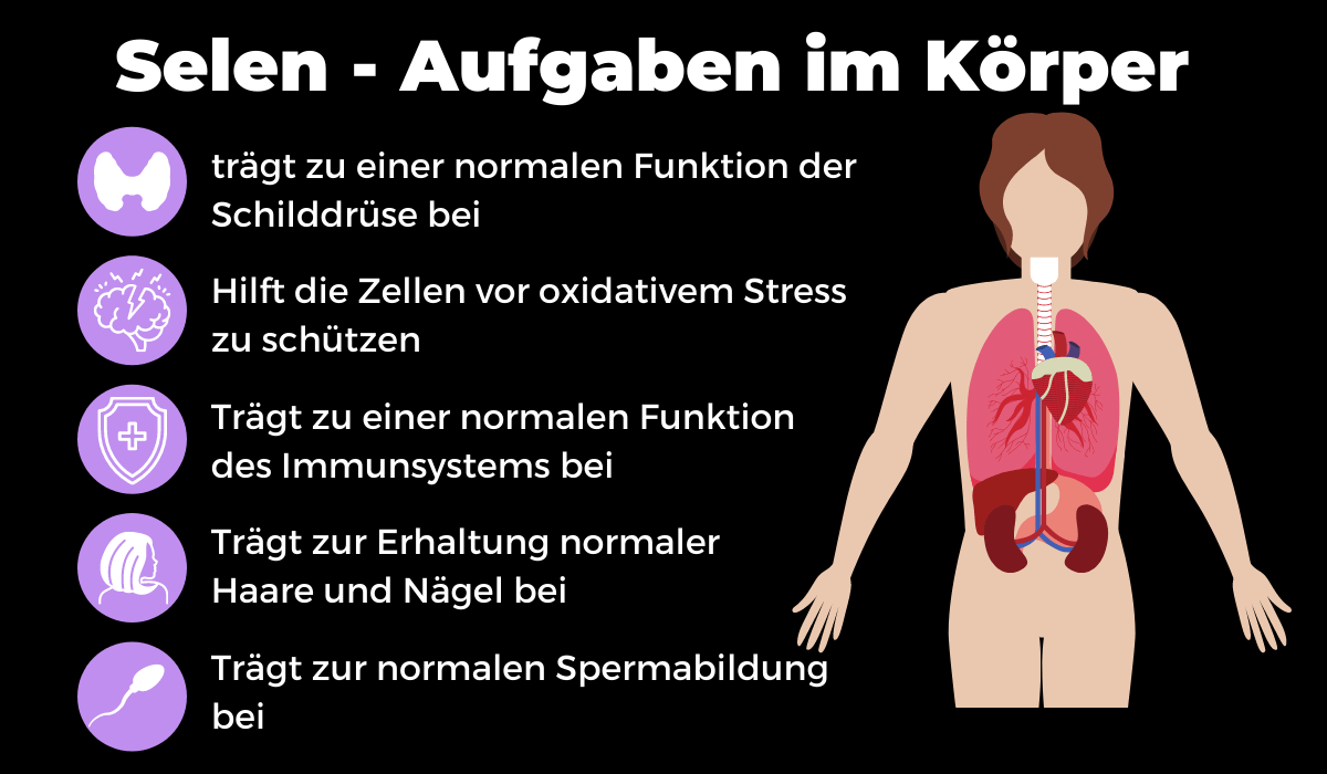 Was Bewirkt Selen Im Körper www.naturise.de